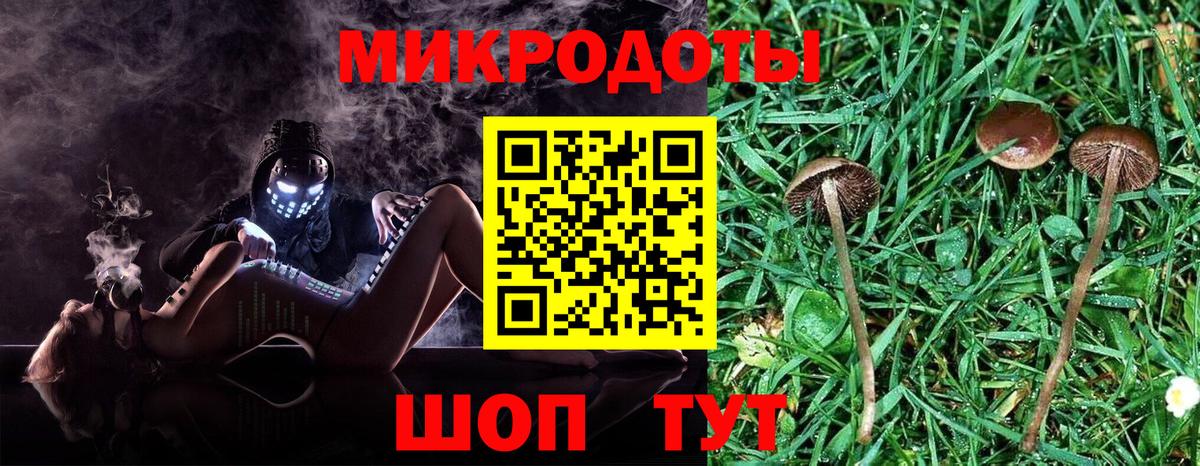 Петрозаводск  Галлюциногенные грибы MAGIC MUSHROOMS  Вход с VPN 