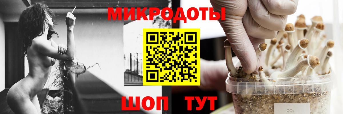 Галлюциногенные грибы мицелий Петрозаводск